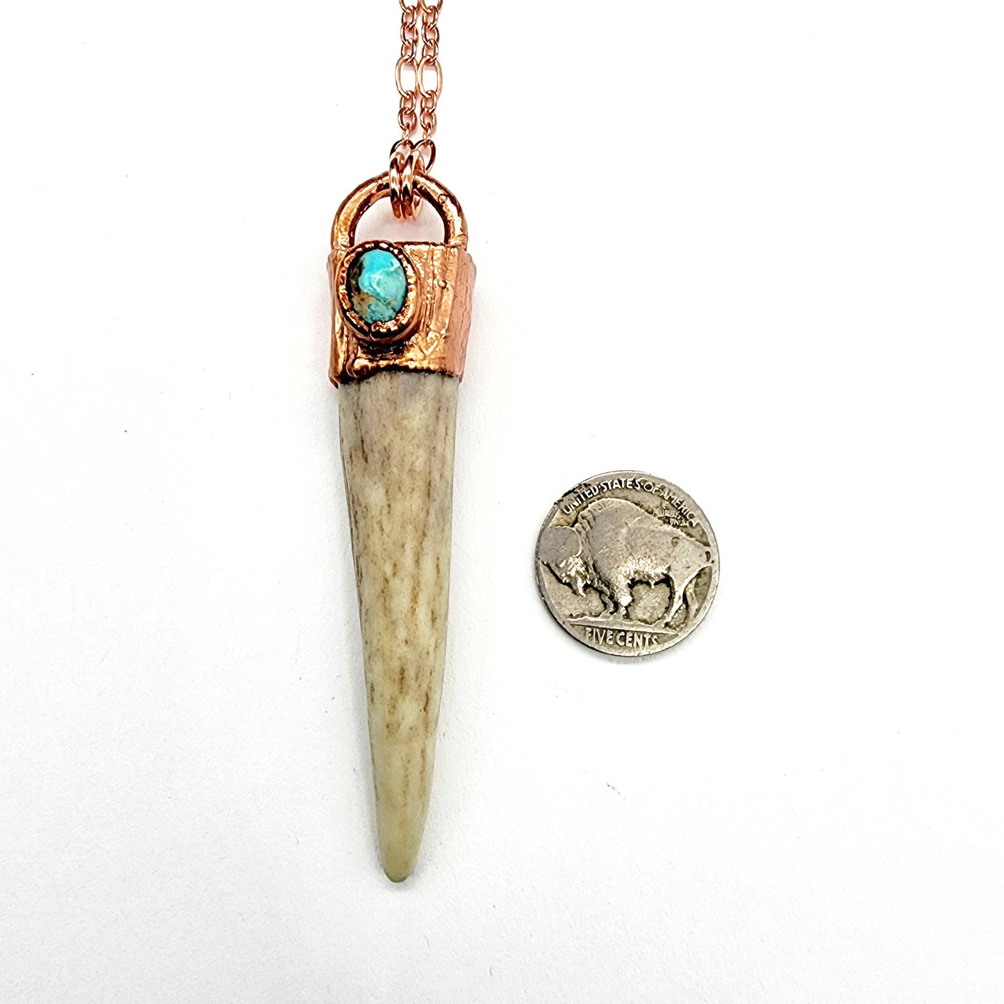 Naturally Shed Antler with Turquoise Necklace