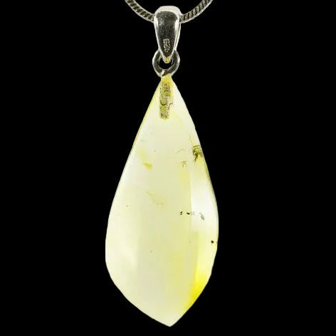 Baltic Amber Pendant with A Fly