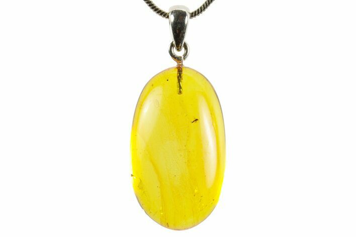 Baltic Amber Pendant with A Fly
