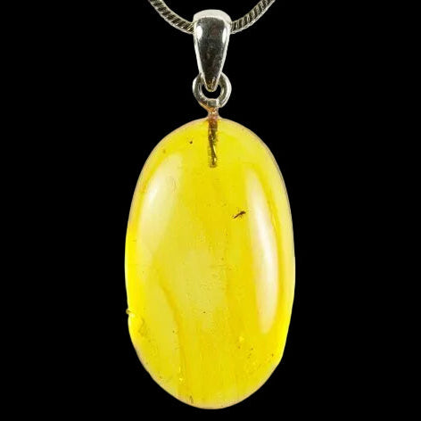 Baltic Amber Pendant with A Fly