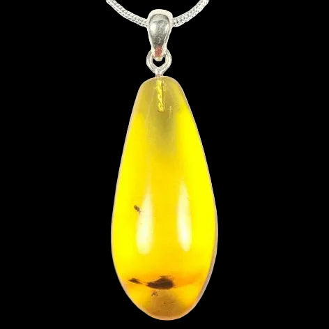 Baltic Amber Pendant with A Fly