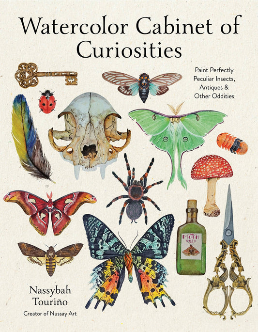 Watercolor Cabinet Of Curiosities: Insects & Oddities