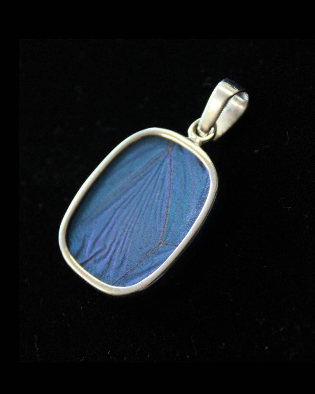 Real Butterfly Wing Pendant: Blue Morpho, Rectangular