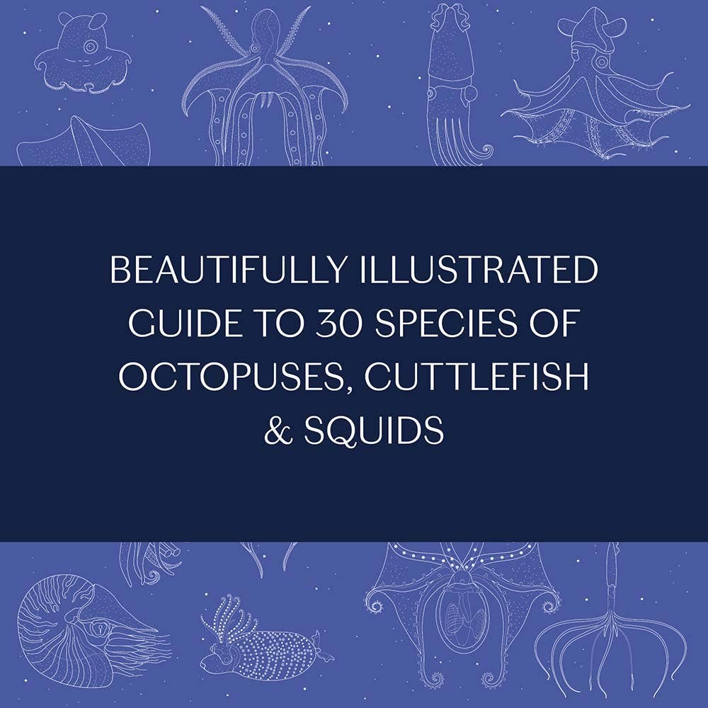 Sea Wonders