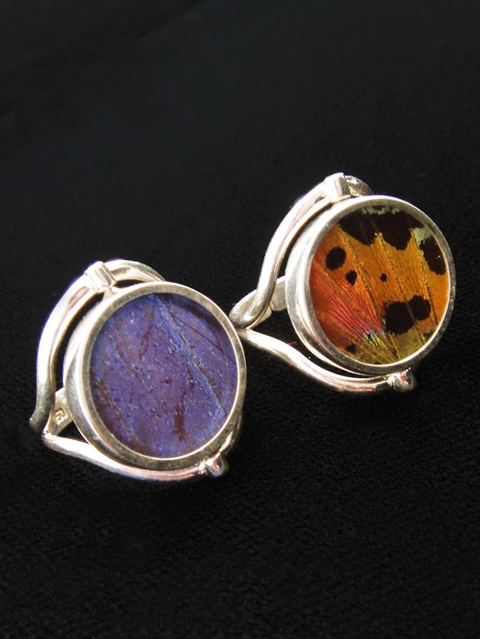 Real Butterfly Wing Ring, Reversible