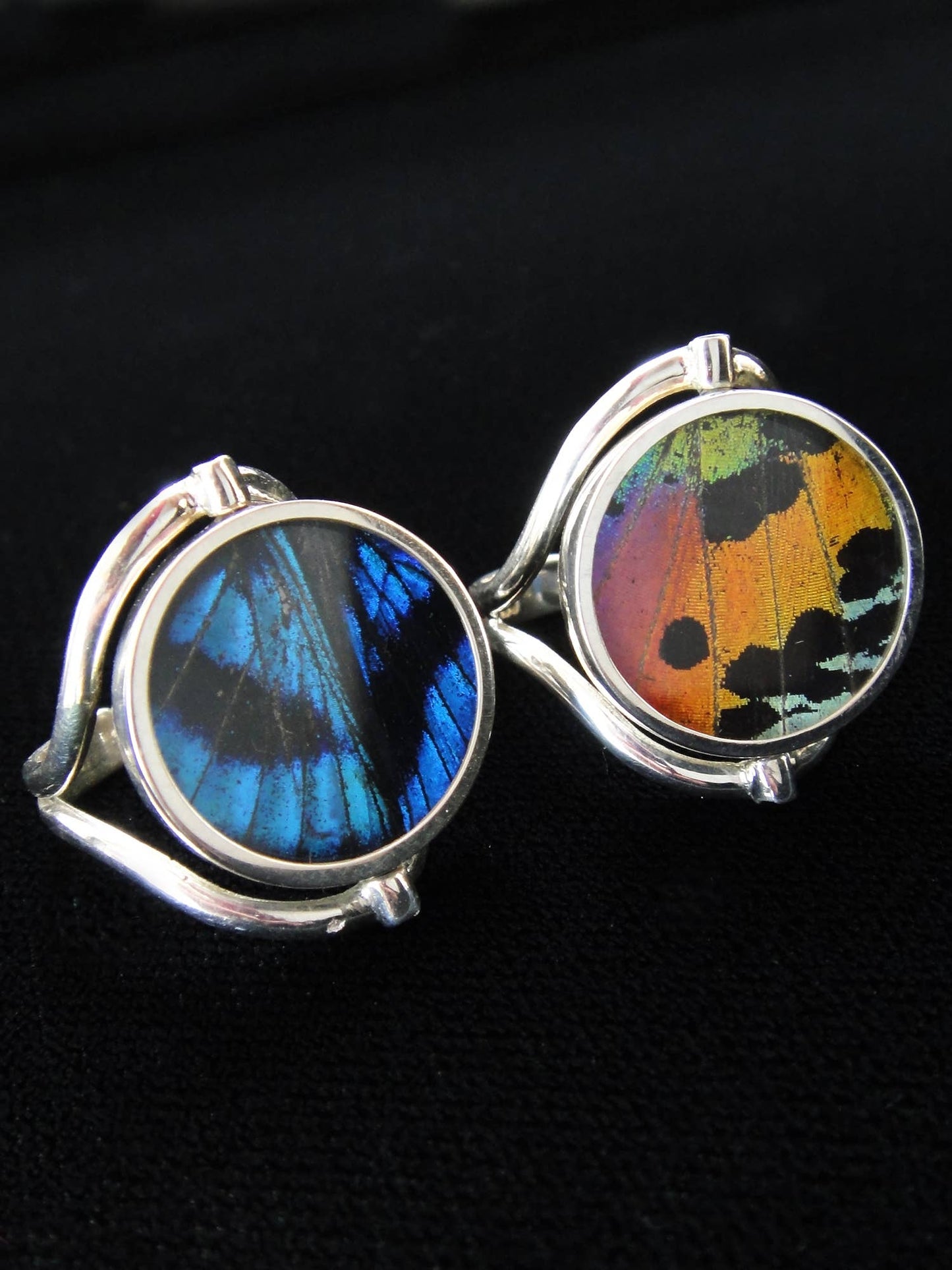 Real Butterfly Wing Ring, Reversible