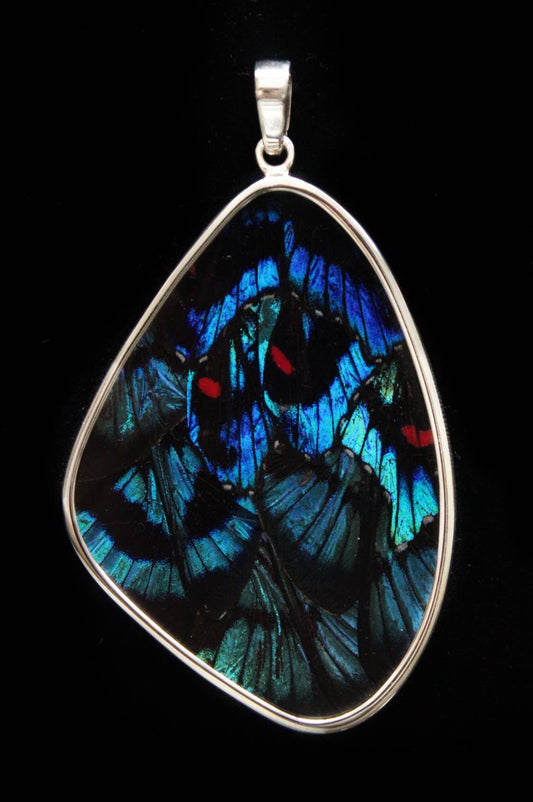 Real Butterfly Wing Pendant - "Blue Flash", XX-Large