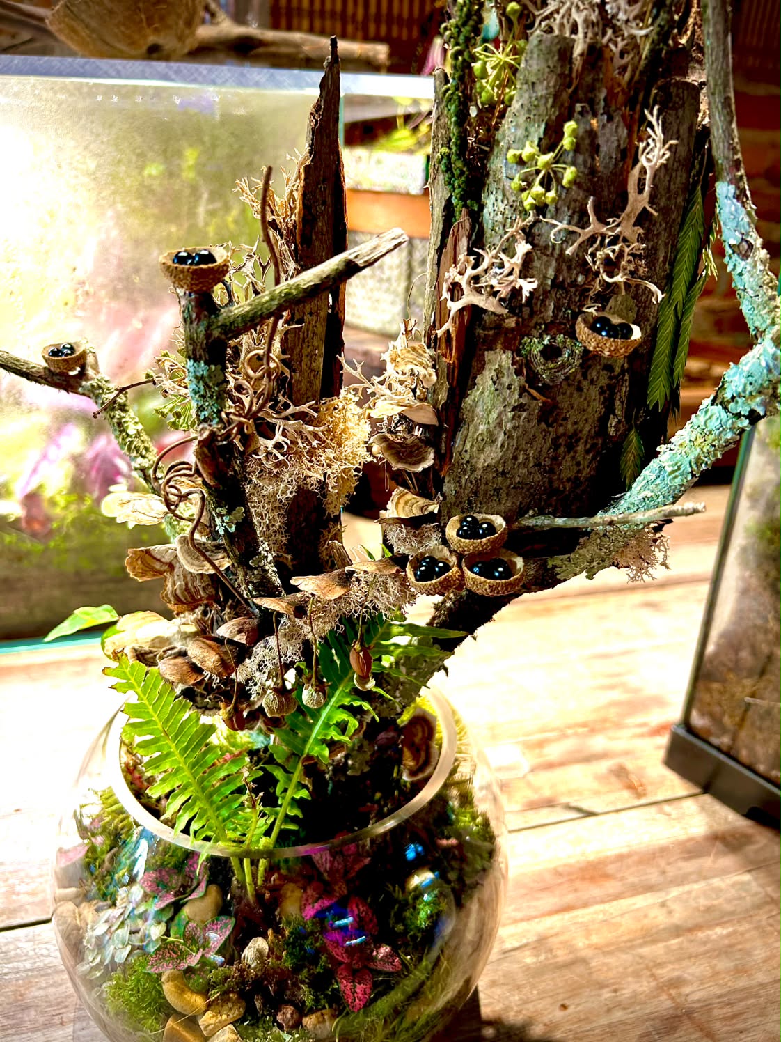 Fairy House Terrarium Workshop (Sept. 26, 2026)