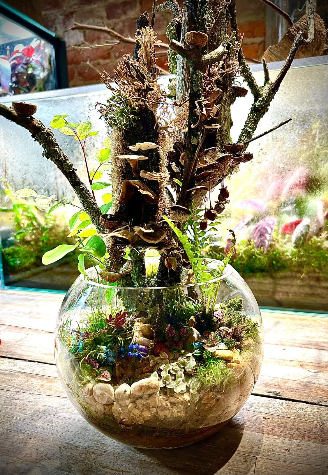 Fairy House Terrarium Workshop (Sept. 26, 2026)
