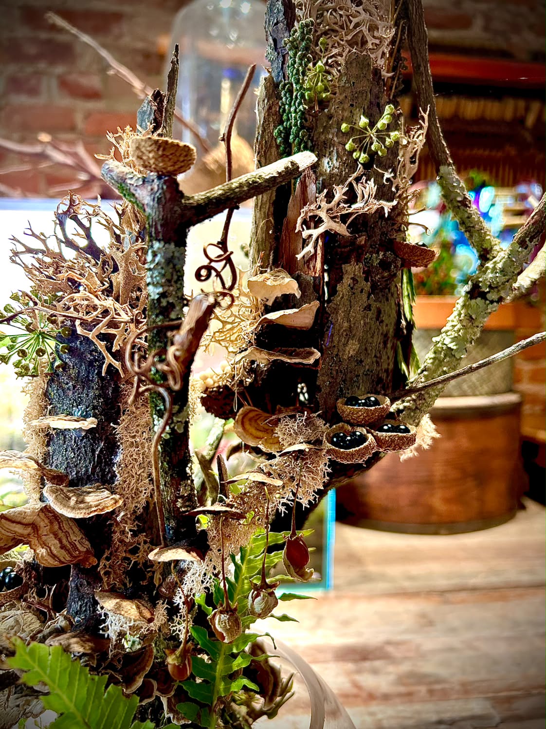 Fairy House Terrarium Workshop (Sept. 26, 2026)