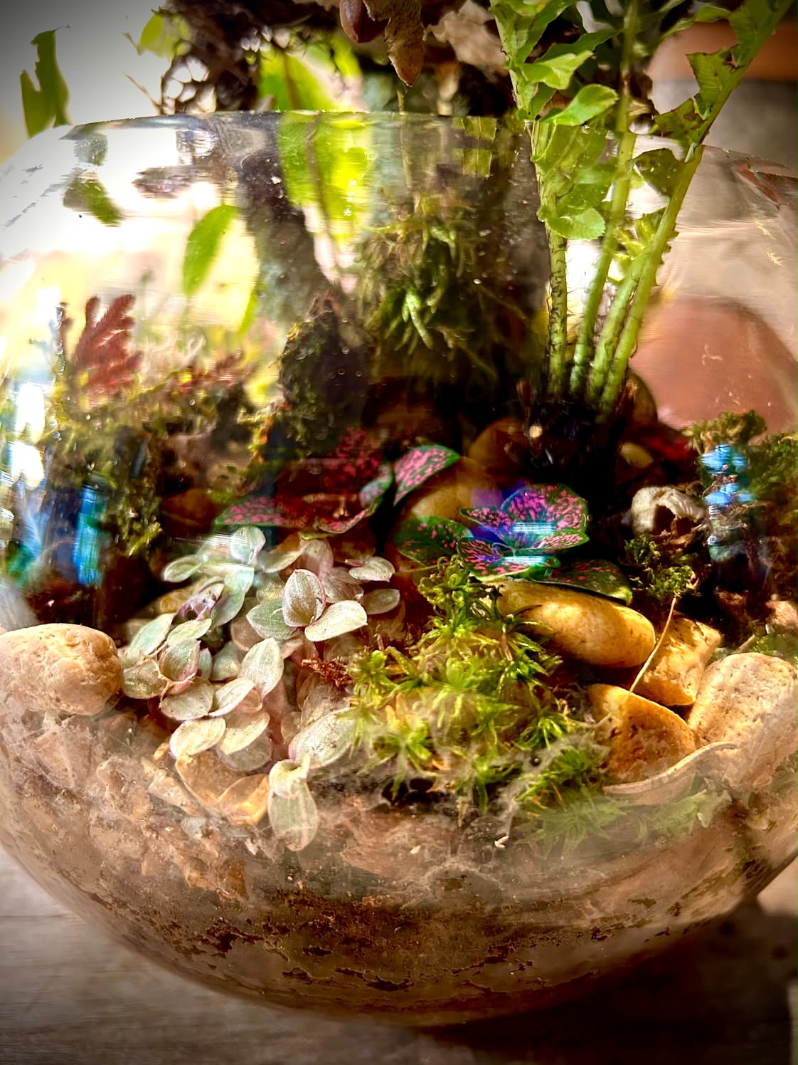 Fairy House Terrarium Workshop (Sept. 26, 2026)