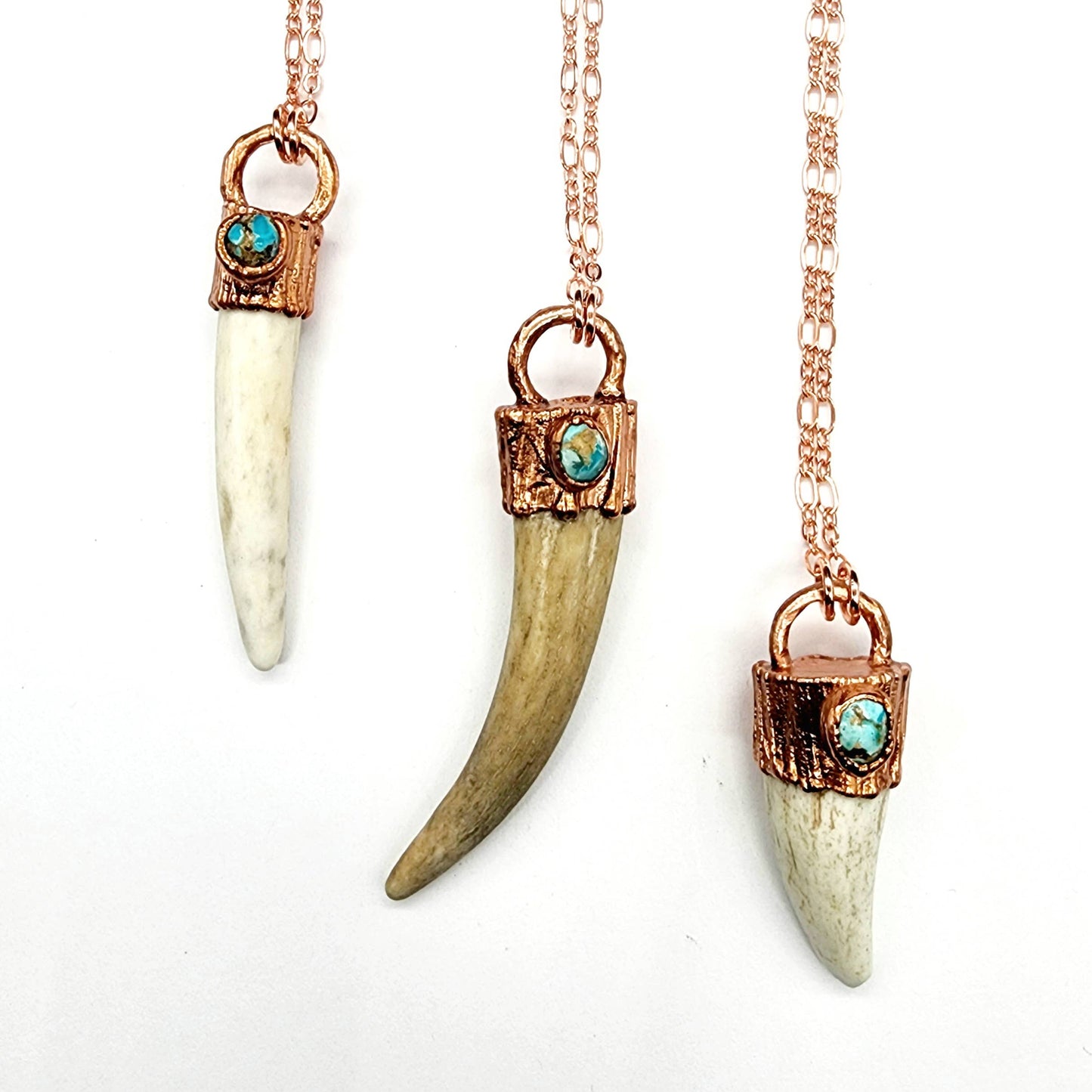 Naturally Shed Antler with Turquoise Necklace