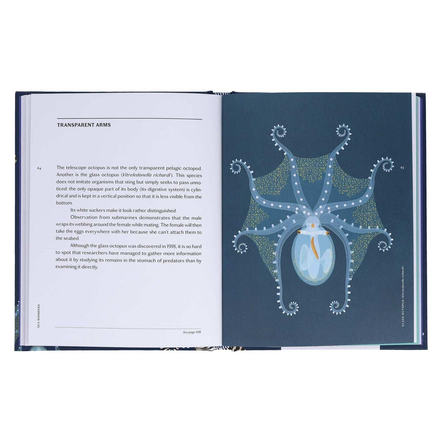 Sea Wonders