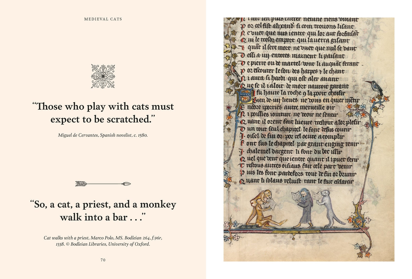 Medieval Cats