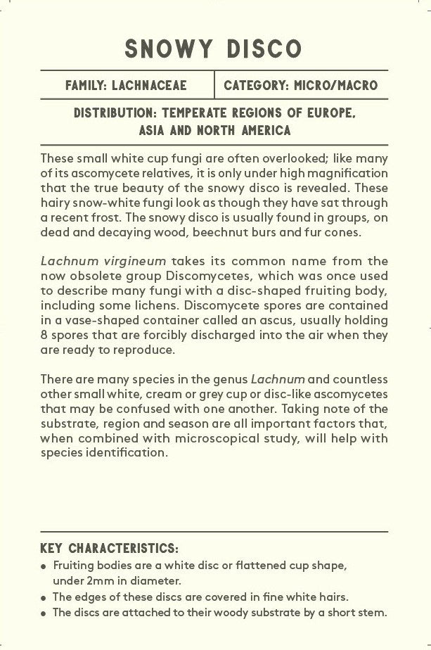 The Mushroom Compendium