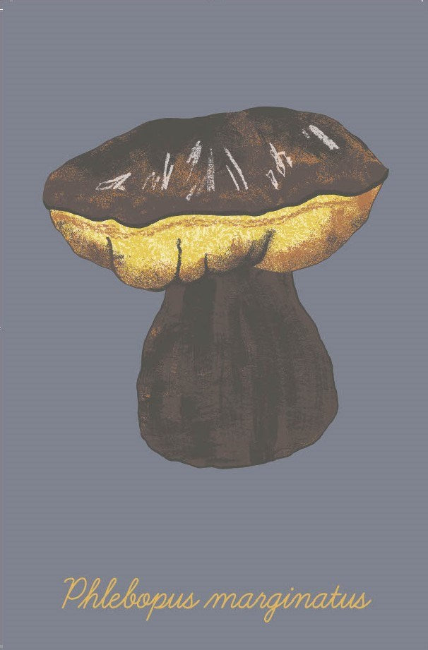 The Mushroom Compendium