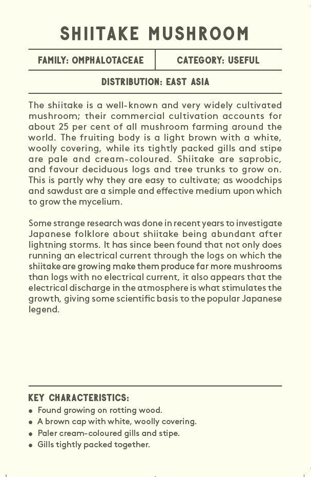 The Mushroom Compendium