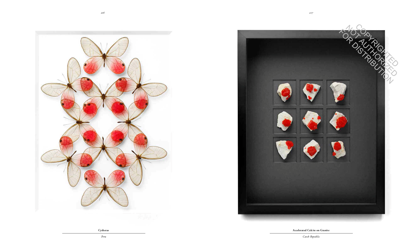 Biophilia: Christopher Marley's Art of Nature