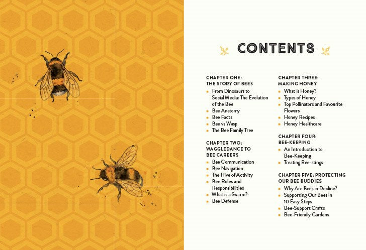 Little Book of Bees: An Illustrated Guide