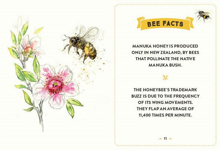 Little Book of Bees: An Illustrated Guide