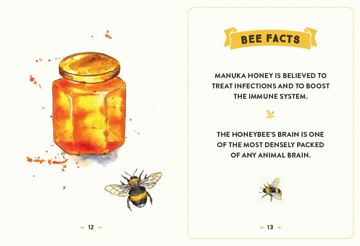 Little Book of Bees: An Illustrated Guide