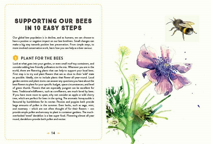 Little Book of Bees: An Illustrated Guide