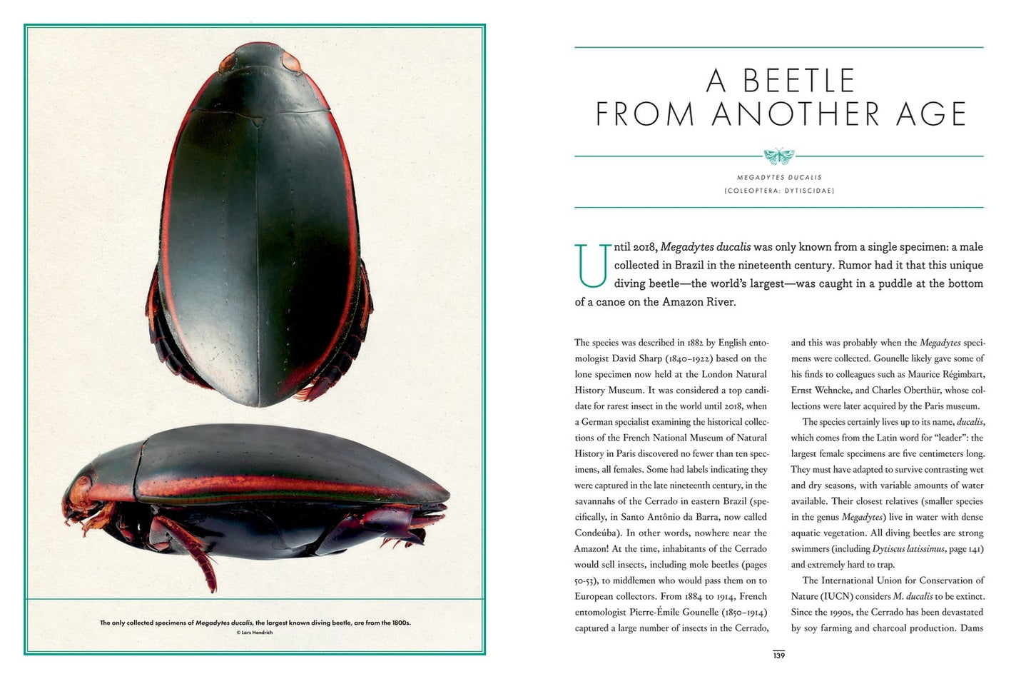 The Wonder Cabinet of Fabulous Insects: Secrets of the