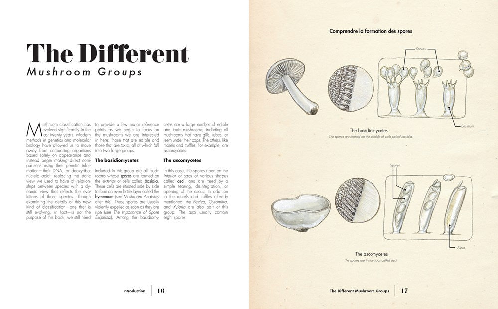 Ultimate Guide to Mushrooms