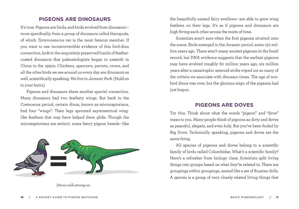 A Pocket Guide to Pigeon Watching