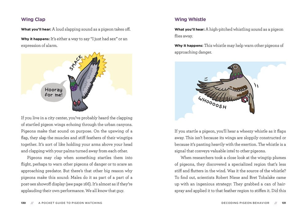 A Pocket Guide to Pigeon Watching