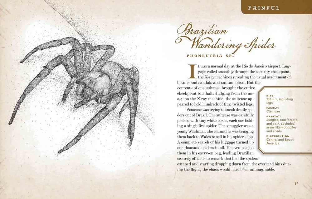 Wicked Bugs