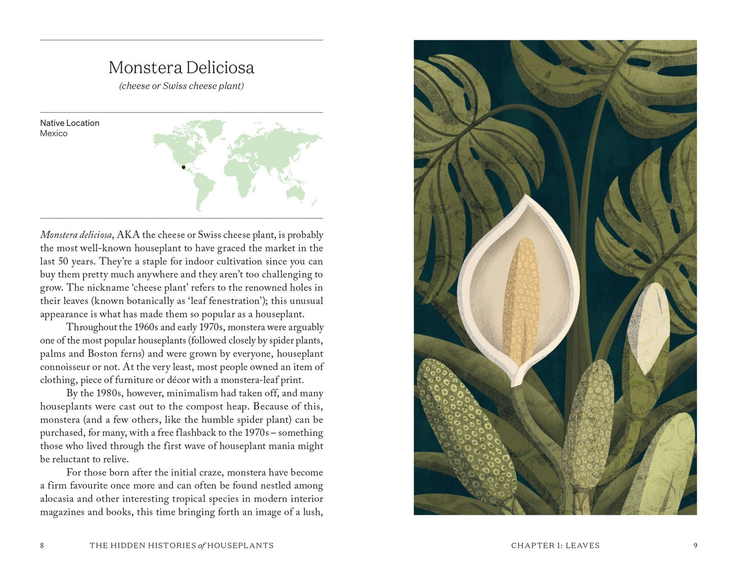 The Hidden Histories of Houseplants