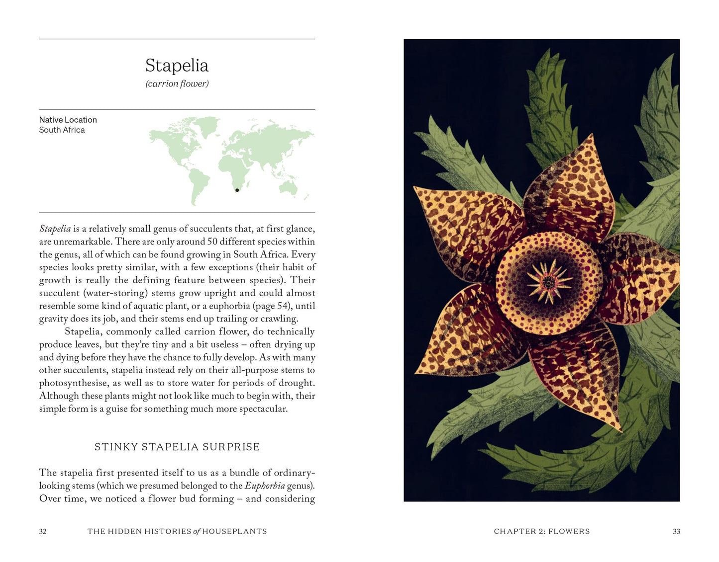 The Hidden Histories of Houseplants