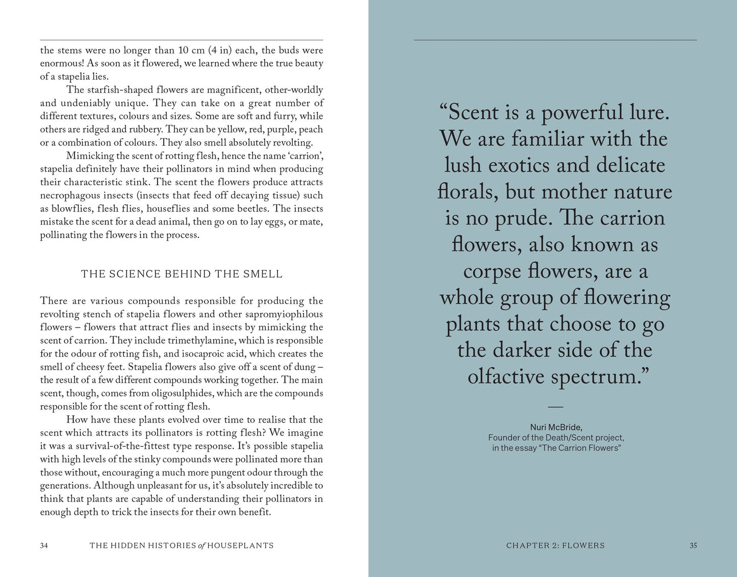 The Hidden Histories of Houseplants