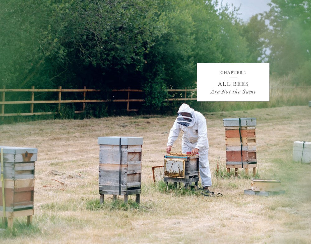 Wild Bee Handbook