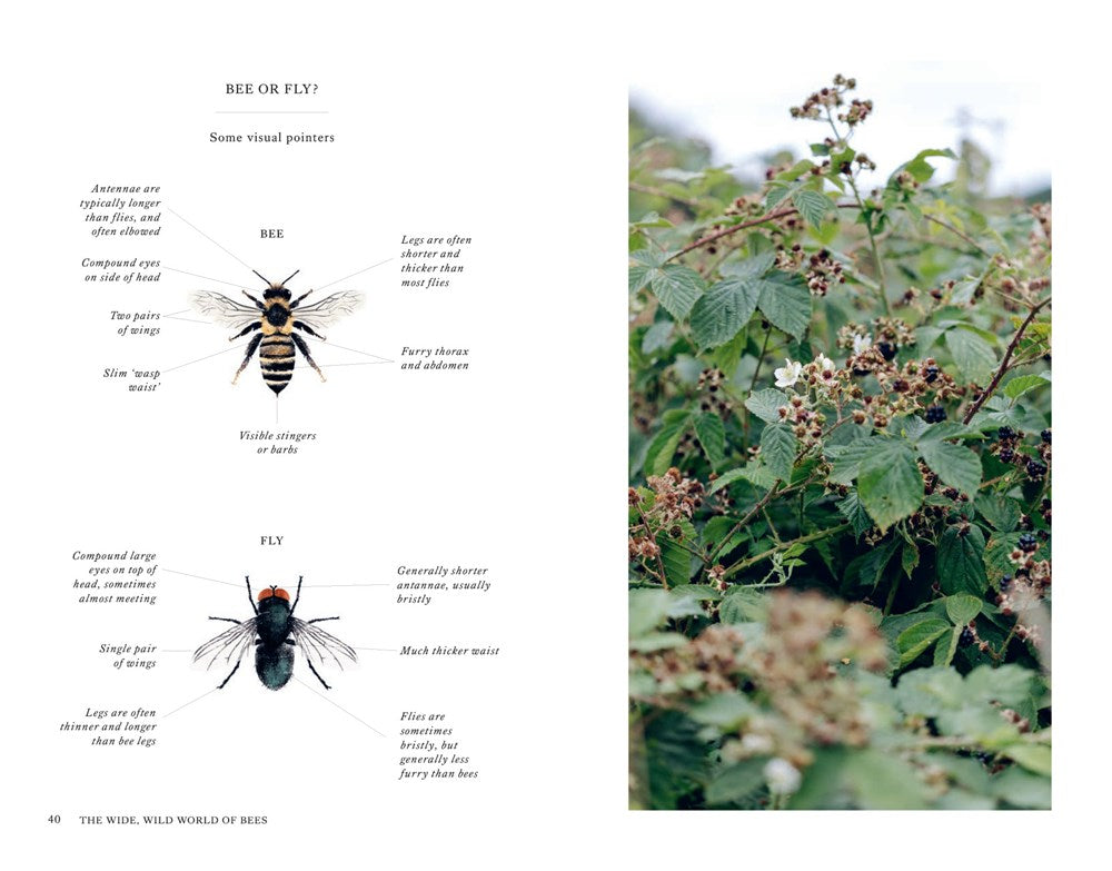 Wild Bee Handbook