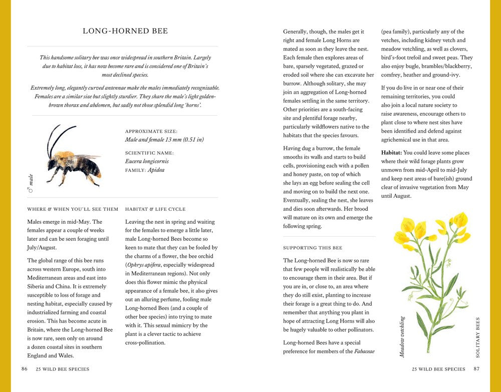 Wild Bee Handbook
