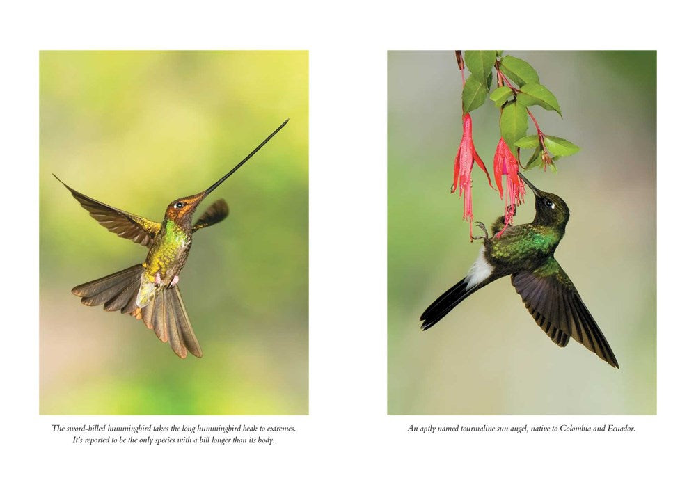 Hummingbirds' Gift by Sy Montgomery