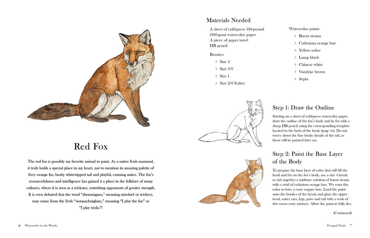 Watercolor In The Woods: Forest Animals & Botanicals Art