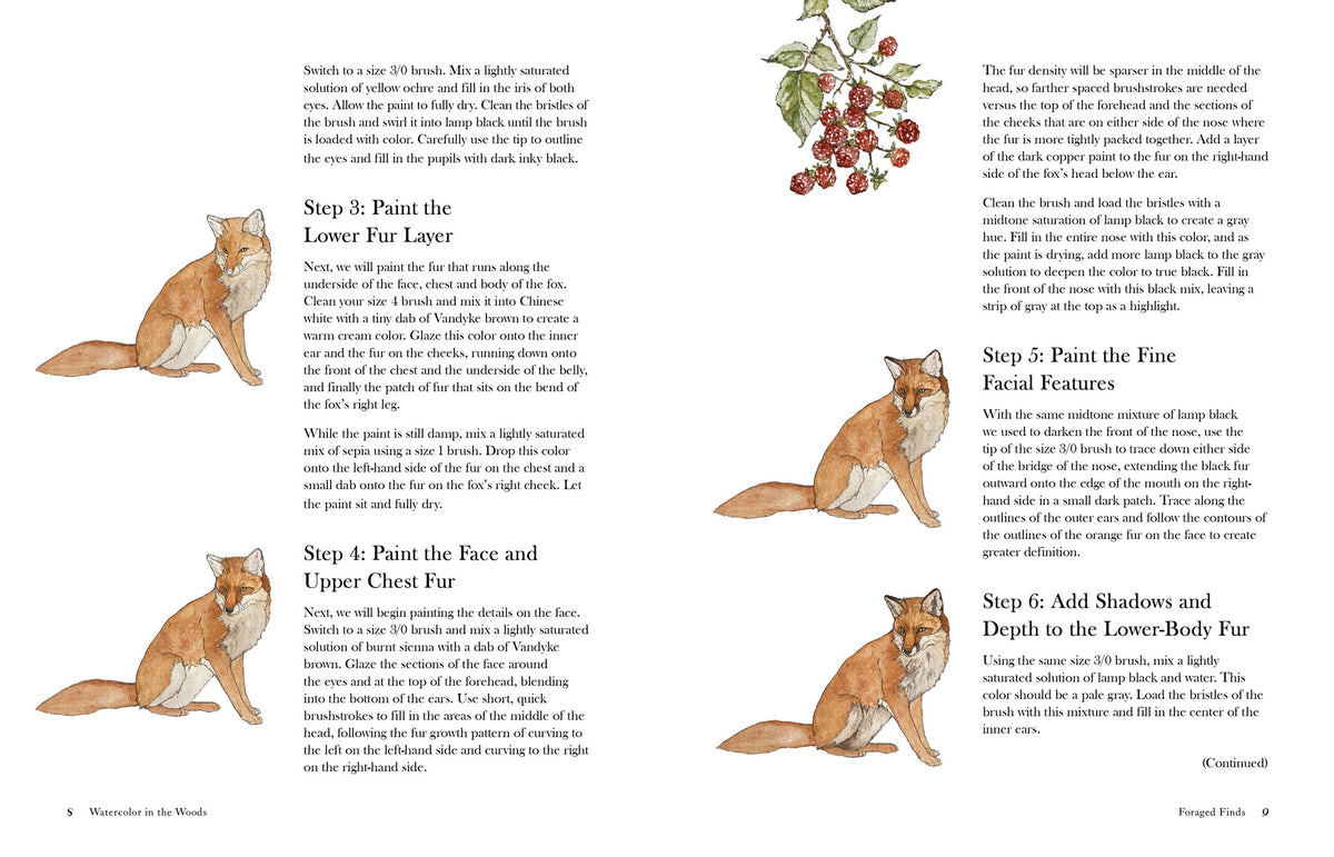 Watercolor In The Woods: Forest Animals & Botanicals Art