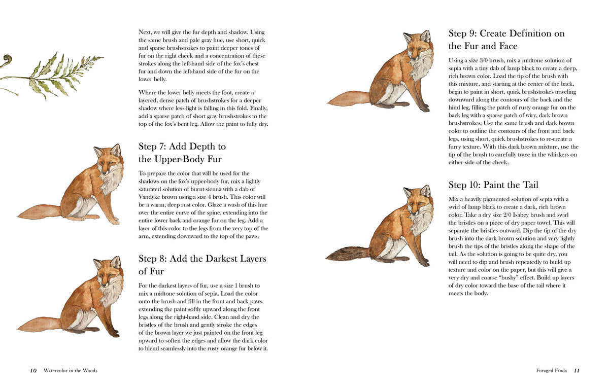 Watercolor In The Woods: Forest Animals & Botanicals Art