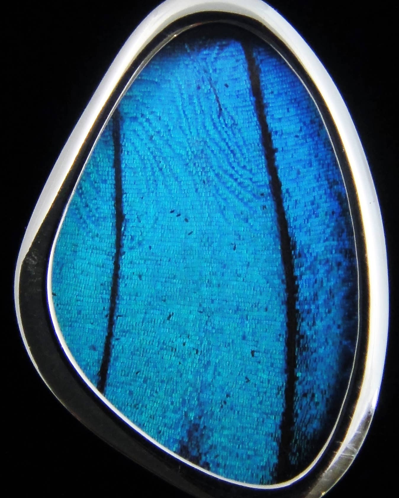 Real Butterfly Wing Pendant: Blue Morpho