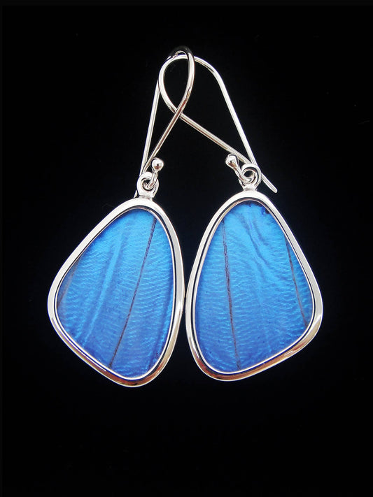 Real Butterfly Wing Earrings - Blue Morpho, Small