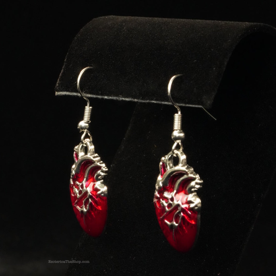 Anatomical heart earrings