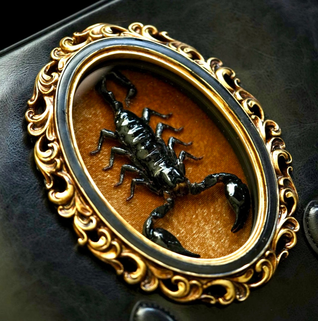 Real Scorpion Handbag - Gold Background