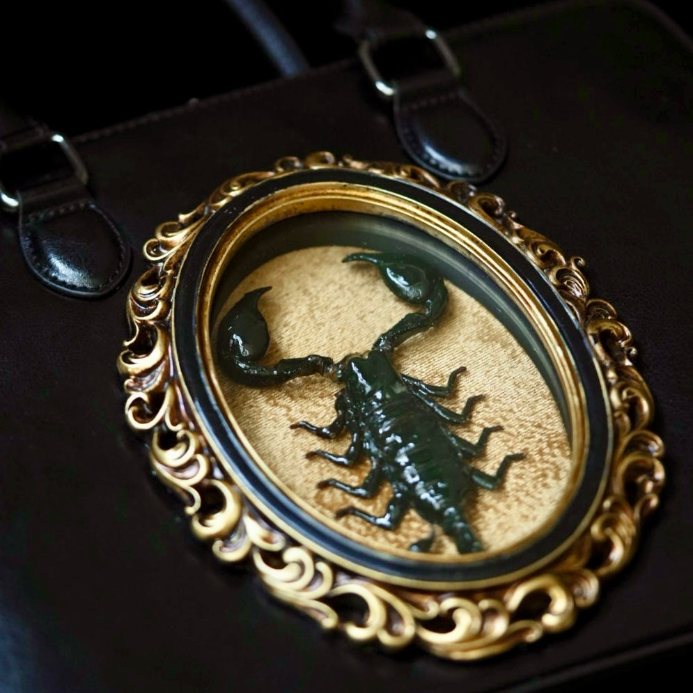 Real Scorpion Handbag - Gold Background