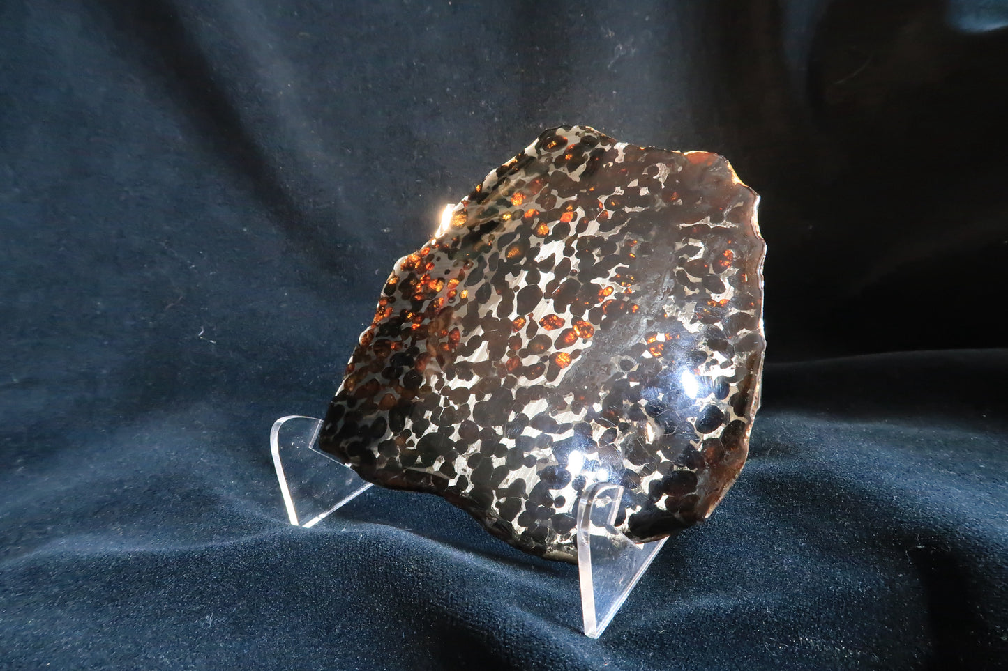 Sericho Pallasite Meteorite Slice