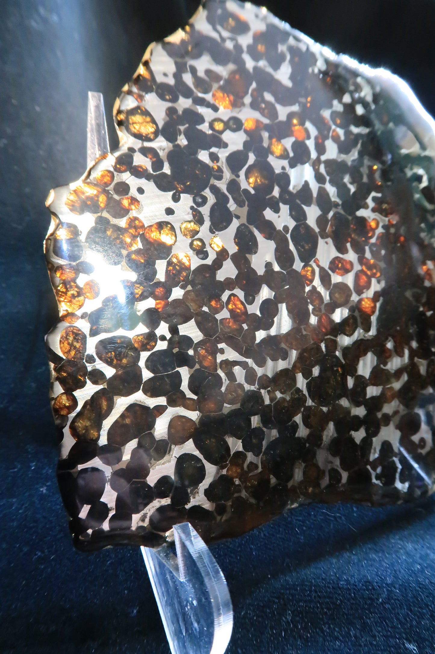 Sericho Pallasite Meteorite Slice