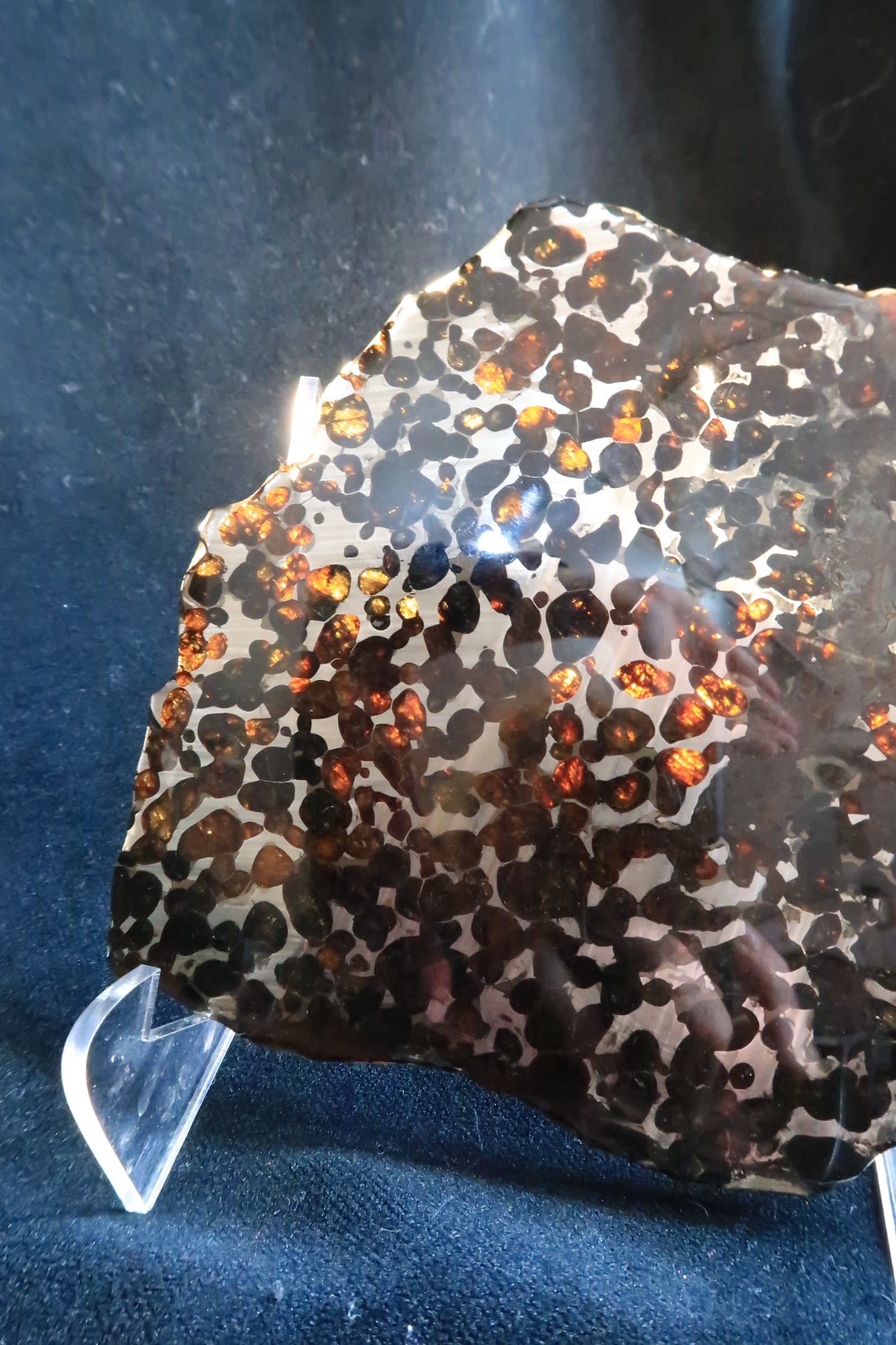 Sericho Pallasite Meteorite Slice