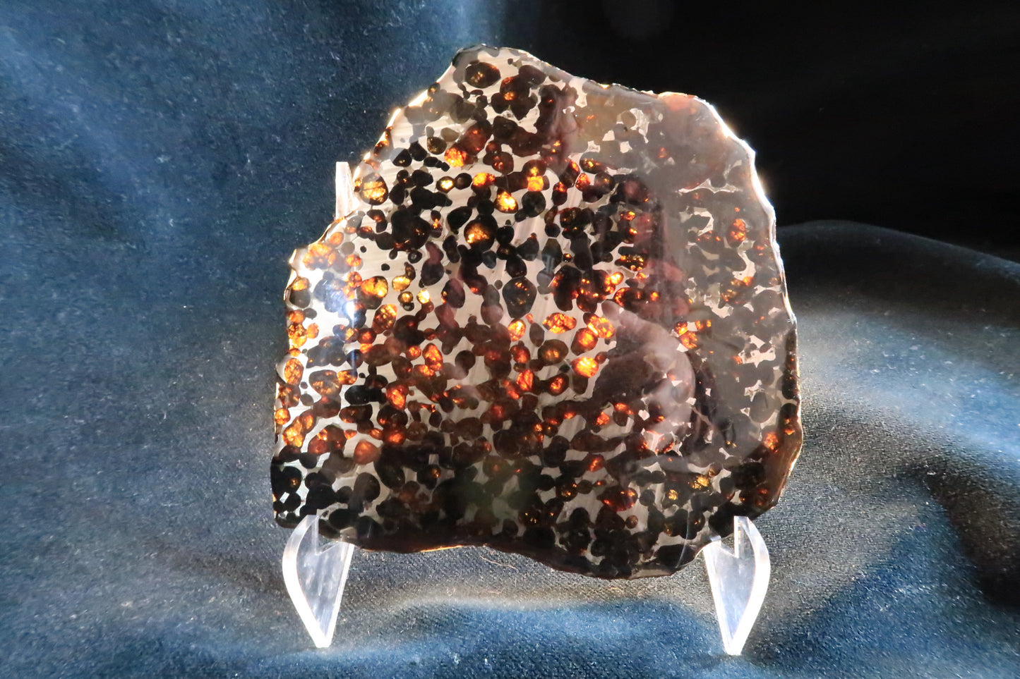 Sericho Pallasite Meteorite Slice